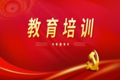 山东省文化产业发展协会党支部集中观看《学习贯彻党的二十届三中全会精神培训课程》