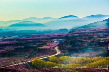 山东一条线路入选！文化和旅游部推出32条“花期乡遇”主题线路