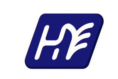 华阳集团：寰宇盛大骨雕工艺品有限公司
