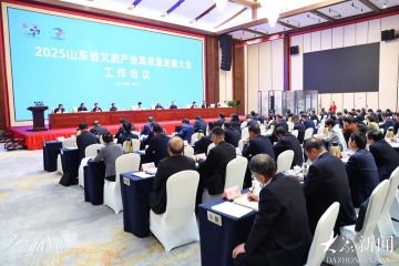 2025山东省文旅产业高质量发展工作会议召开