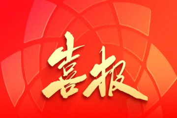 喜报！山东省文化产业发展协会获评5A级社会组织